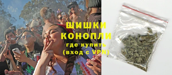 2c-b Пестово